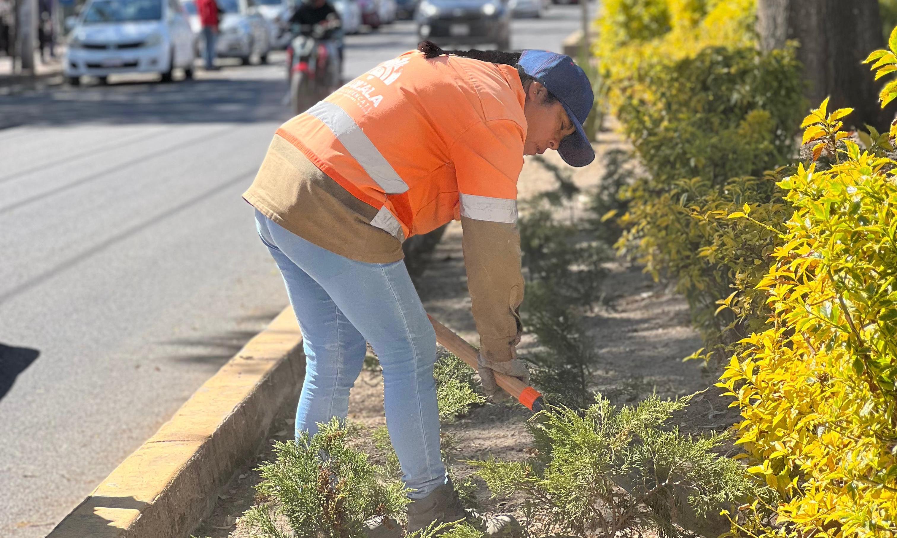 Ayuntamiento de Tlaxcala inicia el año cuidando la imagen de la capital con acciones permanentes de limpieza